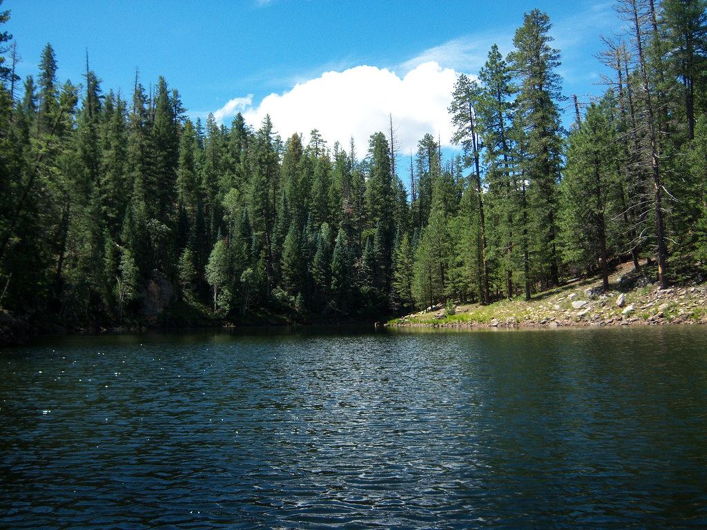 A calm forest lake ringed by tall pine trees under a blue sky with a white cloud
