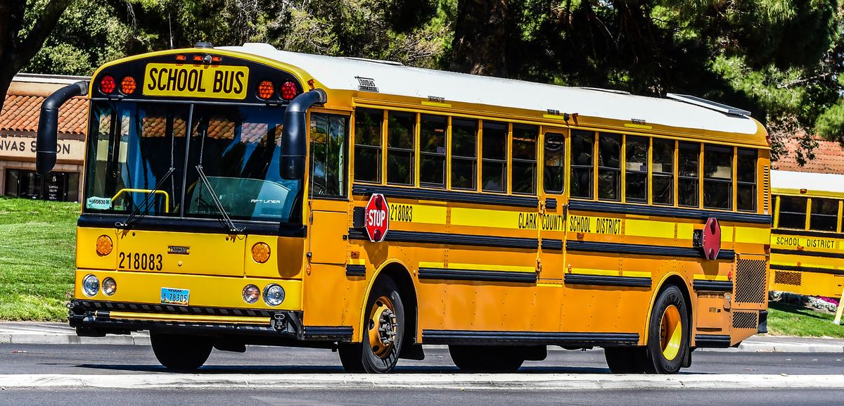 A yellow Clark County School District school bus parked on a street lined with trees