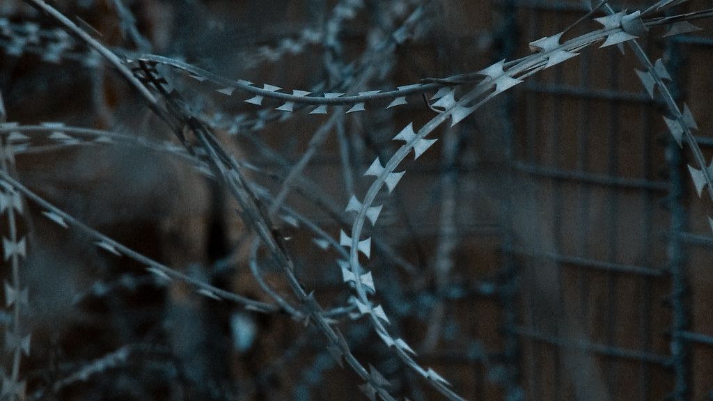 Close-up of coiled razor wire strung across a metal fence in dim light