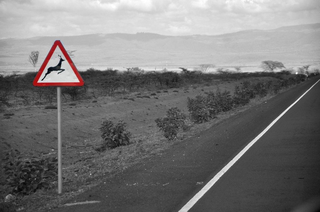 A red triangular deer crossing sign stands beside an empty road running through dry scrubland toward distant hills