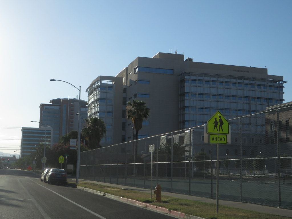 Large modern government buildings behind a chain-link fence along a palm-lined street with a school crossing sign