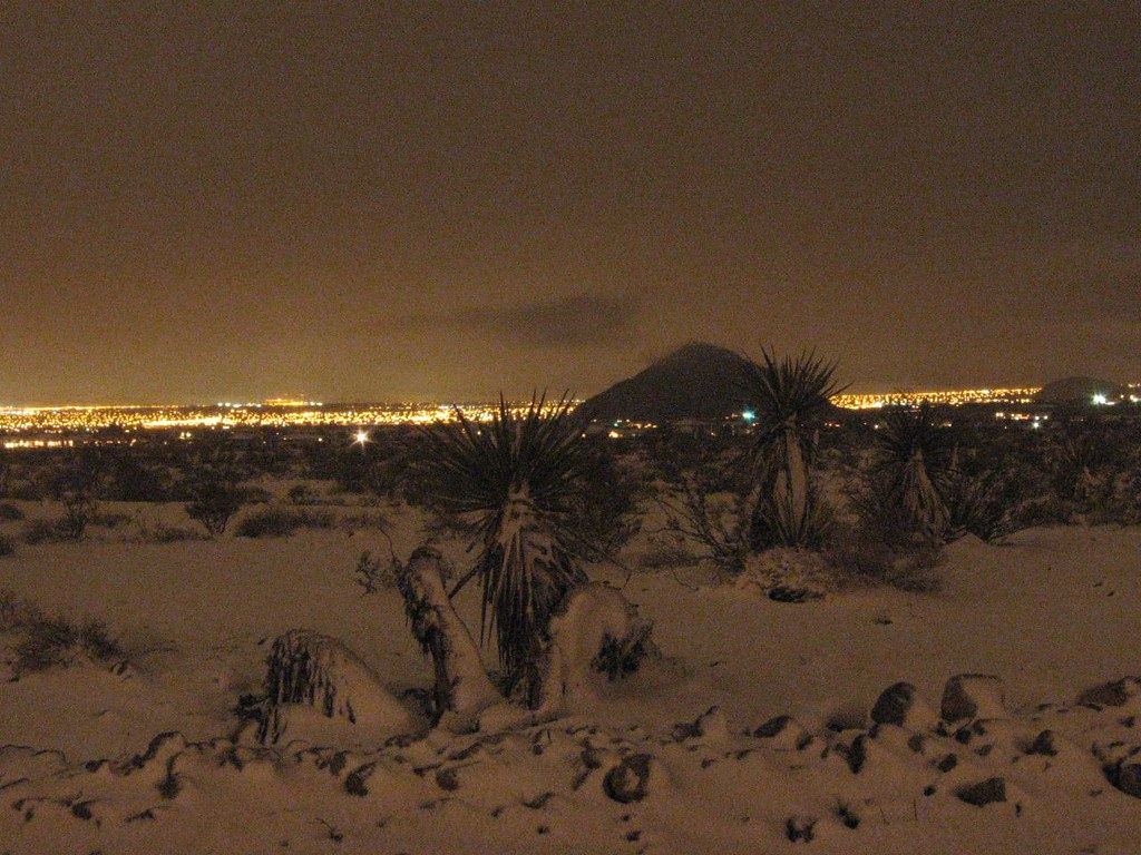 Snow-covered desert with yucca plants in front of a valley of city lights and a dark peak at night