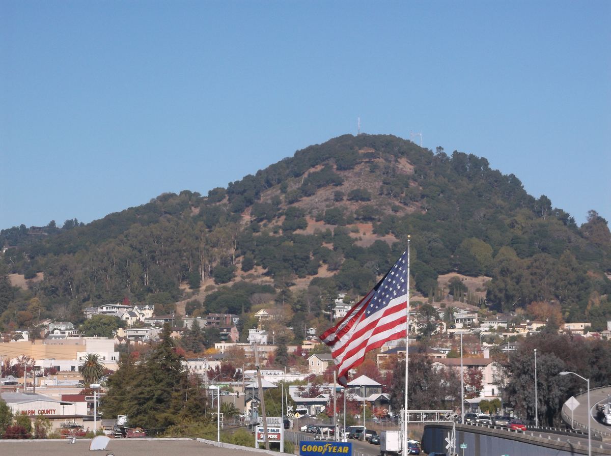An American flag waves on a tall pole above a town, with houses on a wooded hill behind it under a clear sky