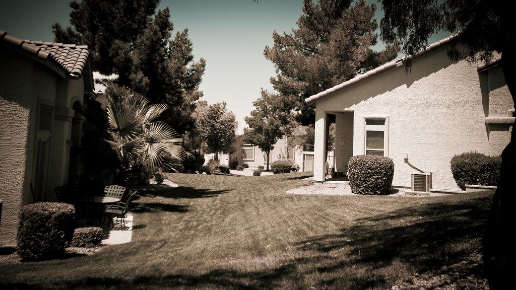 Single-story stucco homes with tile roofs face a shared lawn lined with shrubs, palms and pine trees