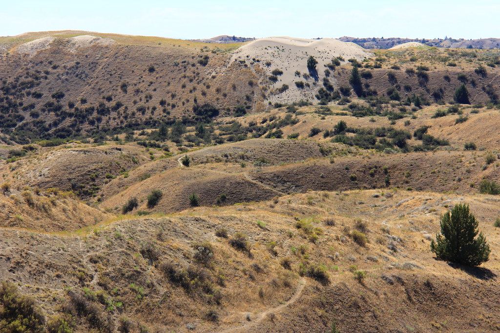 Narrow dirt trails wind through dry, scrub-covered hills with pale sand dunes and scattered juniper trees