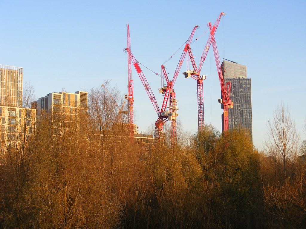 Several red tower cranes rise above autumn trees beside tall residential buildings under a clear blue sky
